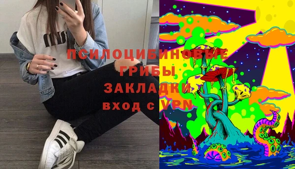 стаф Абдулино